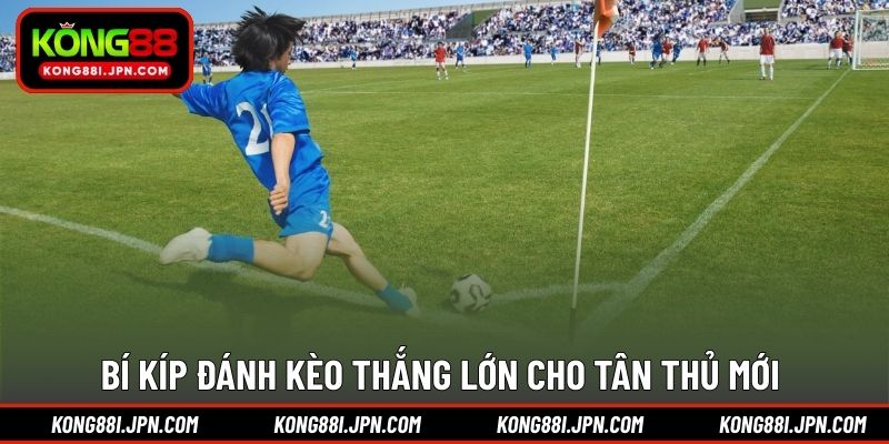 Bí kíp đánh kèo thắng lớn cho tân thủ mới 