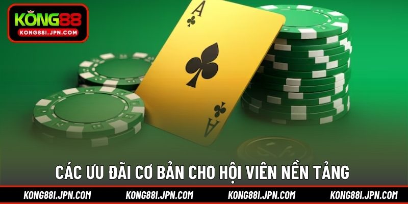 Các ưu đãi cơ bản cho hội viên nền tảng