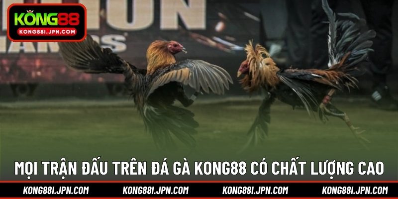 Mọi trận đấu trên Đá Gà KONG88 có chất lượng cao