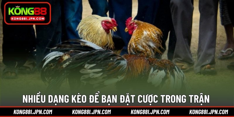 Nhiều dạng kèo để bạn đặt cược trong trận 